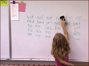 Introduction Image Introduction Image
